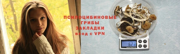 амф Абинск