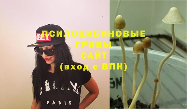 крисы Абдулино