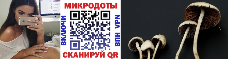 Псилоцибиновые грибы Psilocybe  как найти закладки  MEGA онион  Киренск 